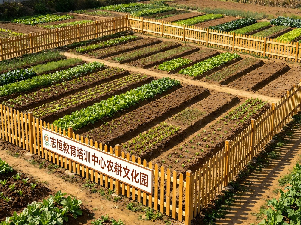 临沂正规叛逆期管教学校怎么选？寄宿素质培育机构测评